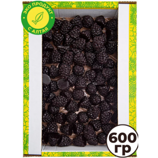 Ежевика 0,6кг, Россия